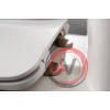 Чаша напольного унитаза BelBagno PRADO BB10150CP