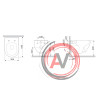 C801701SC Like подвесной унитаз FlashClean с сиденьем микролифт