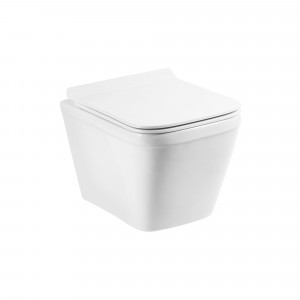 Чаша подвесного унитаза BelBagno DORY BB522ACHR